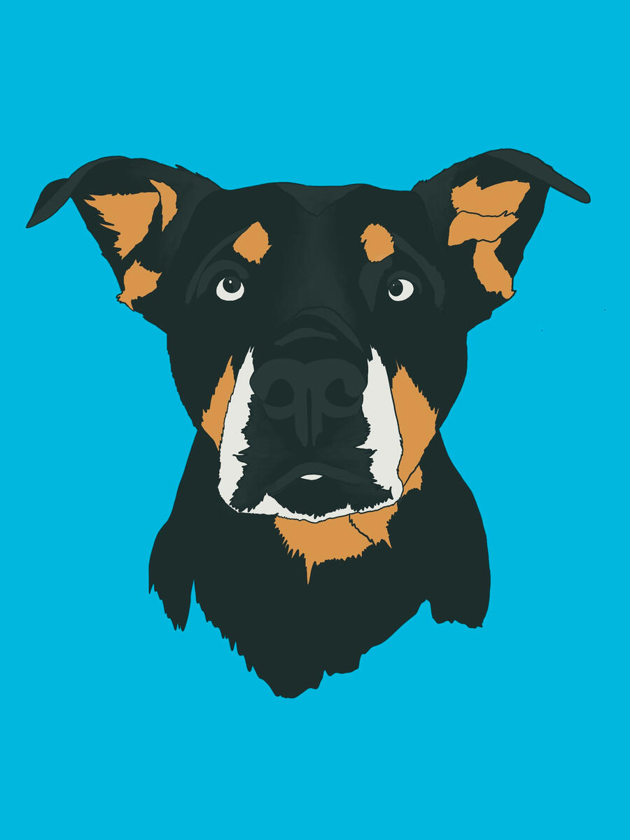 A stylized dog portrait and headshot of Rosie the rottweiler on a blue background.